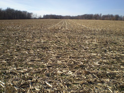 Property photo 18 - 159 Acres Offered in 7 Tracts